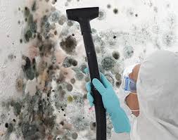 Mold Removal for HVAC Installations in State Line, PA